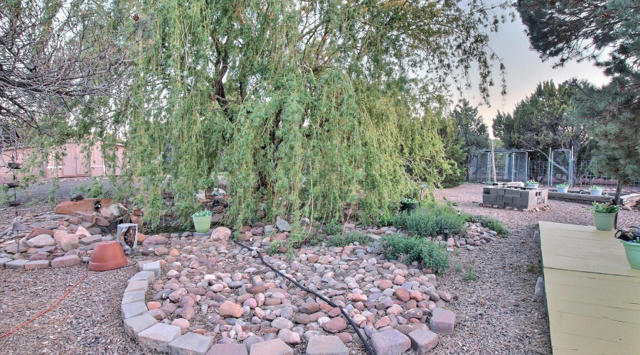 Pond area with fish