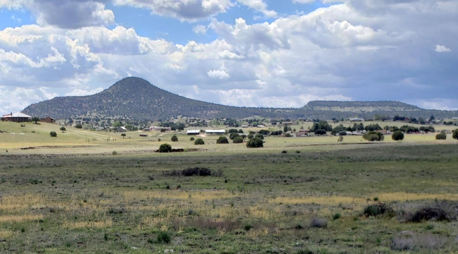 Hwy 288 14 Acres Looking West