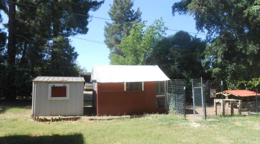 Storage shed