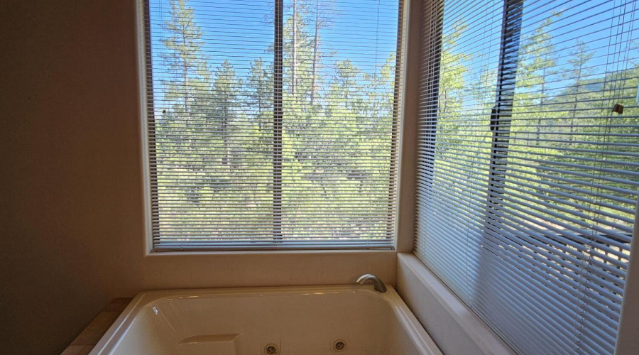 JETTED TUB & VIEWS IN MASTER BATH