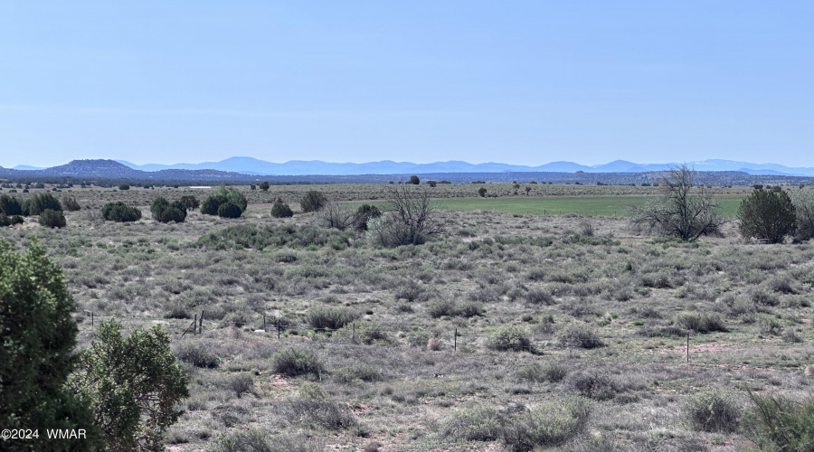 46 acres ranch land in Snowflake