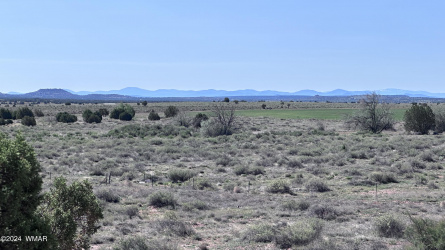 46 acres ranch land in Snowflake