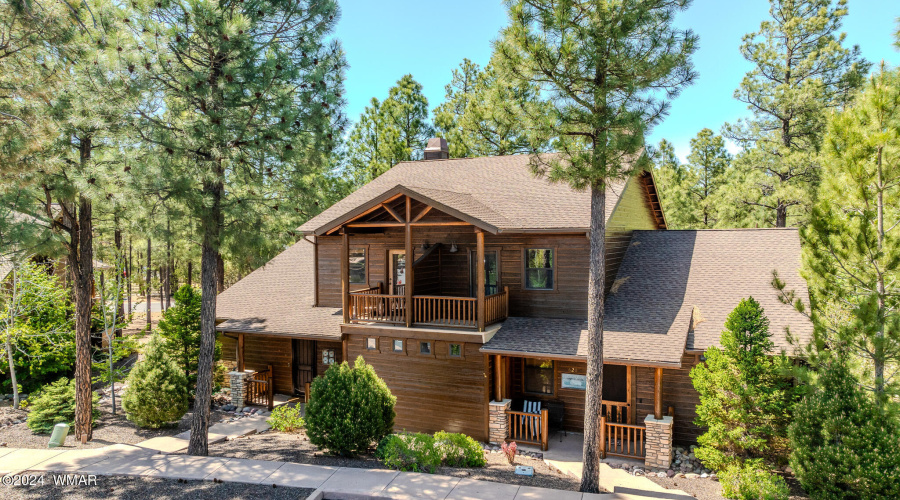 Pine Trees Around Property