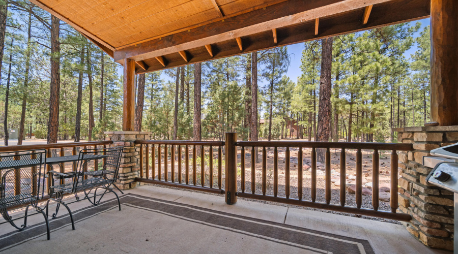 View Out From Back Patio