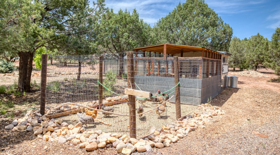 chicken coop