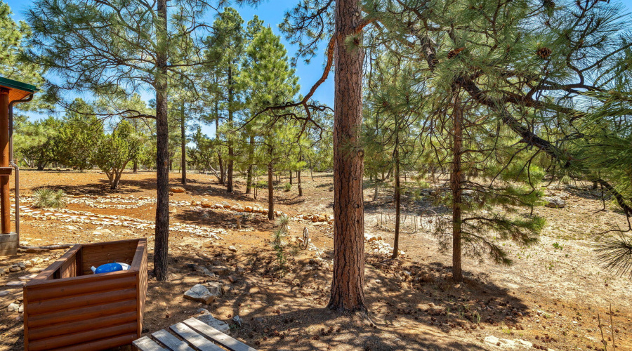 2738ChandelleLn-Heber-AZ-35