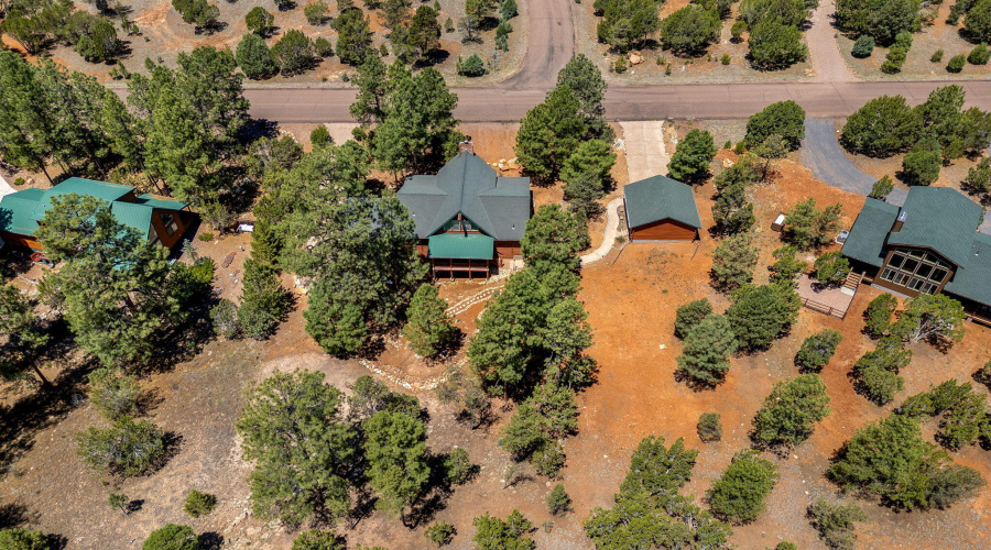 2738ChandelleLn-Heber-AZ-42