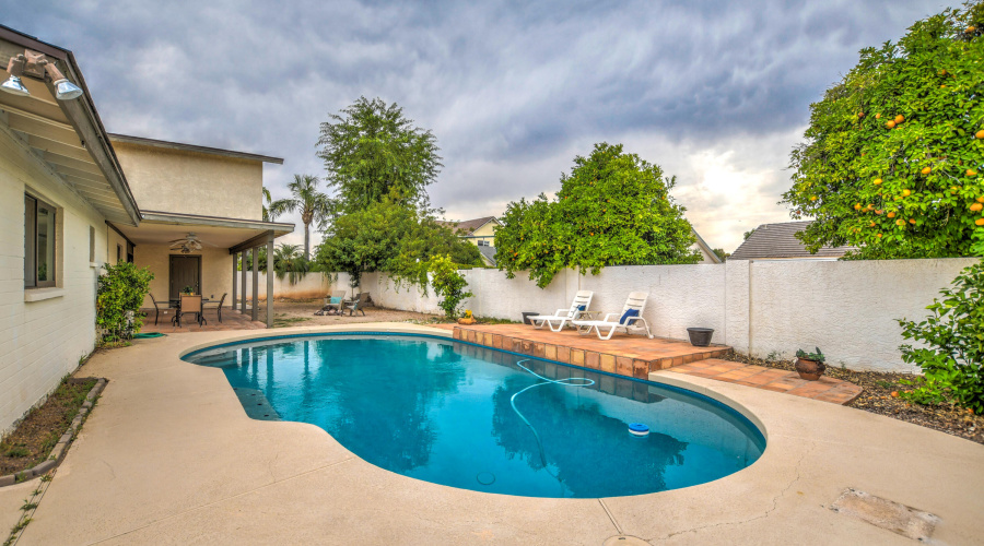 Backyard Pool