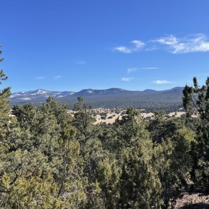 White Mountains in distance