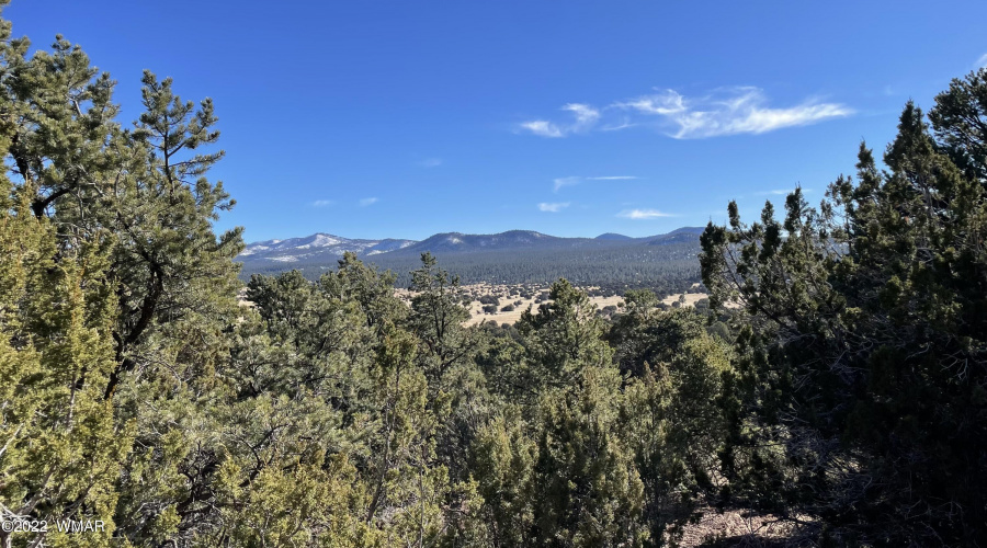 White Mountains in distance