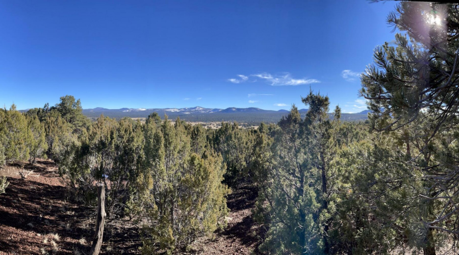 Panoramic towards the White Mountains