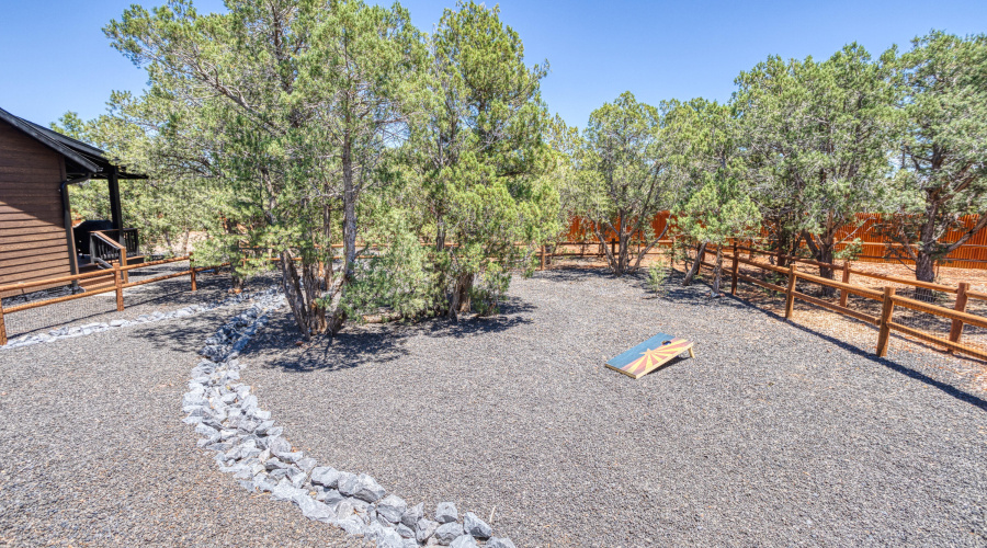 Exterior Backyard