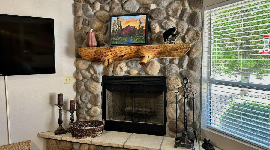 Wood Burning Fireplace detail