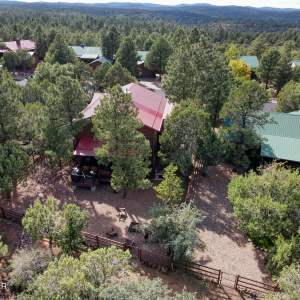Aerial View of Home - Forest Beyond