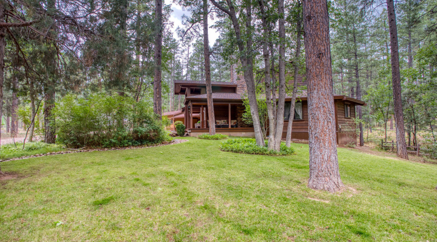 Side Yard:House View