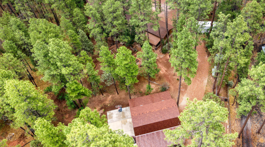 Aerial Wood Shop