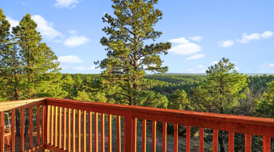 back balcony view