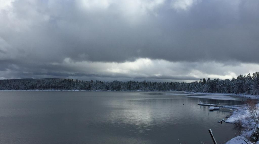 Winter scene Show Low Lake