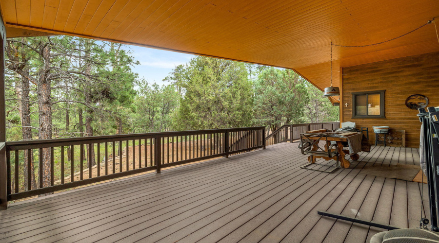 Back deck with trex decking