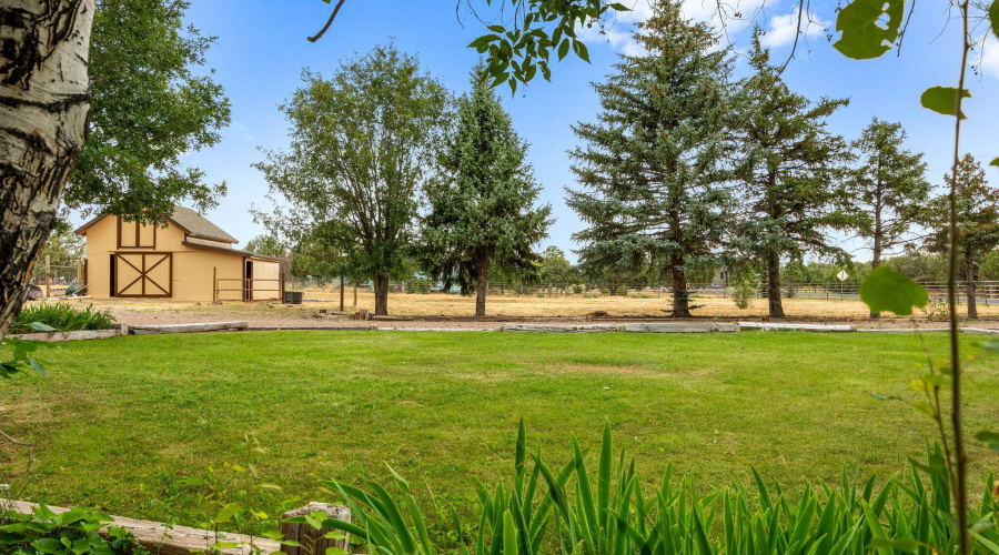 View from side yard to Barn