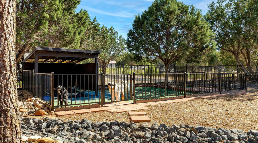 Fenced in Dog Run with Covered Area