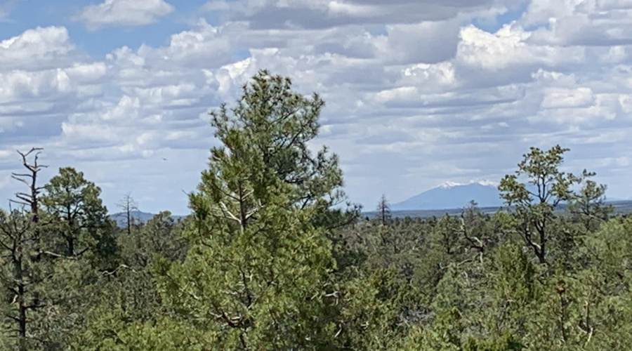 View of the Mountains