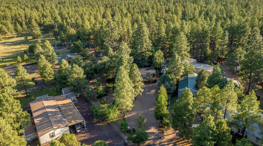 1150SMcCabeLn-Pinetop-AZ-30