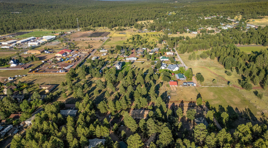 1150SMcCabeLn-Pinetop-AZ-34