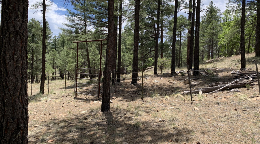 Gate to NAT'L Forest