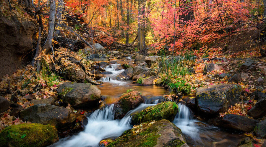 Fall Christopher Creek