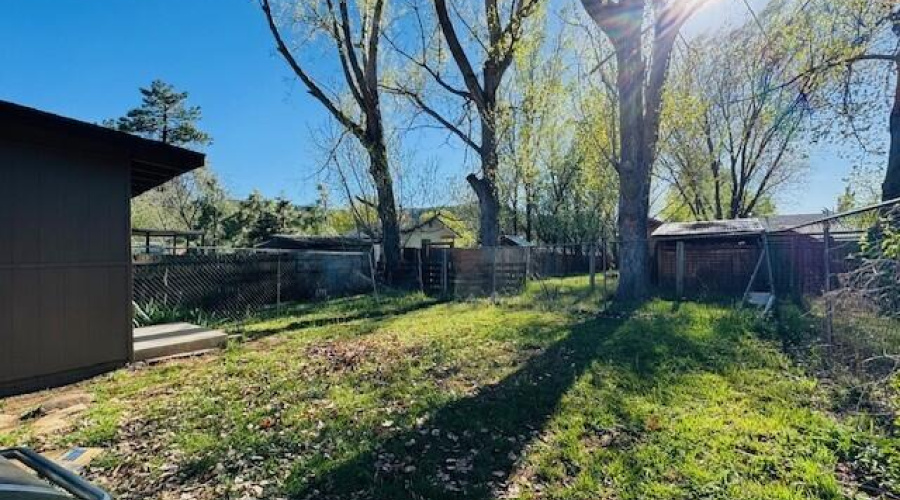 backyard view