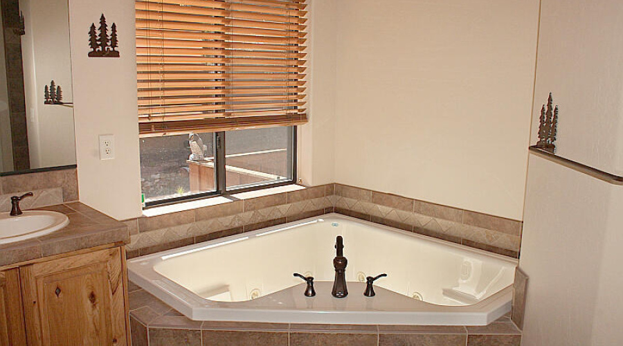 Jacuzzi Tub in Master