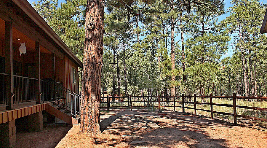 Backyard View