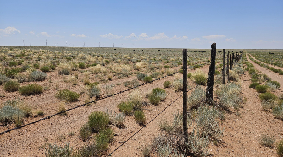 fence line to the west