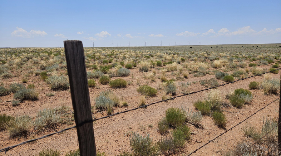 looking out in to the property