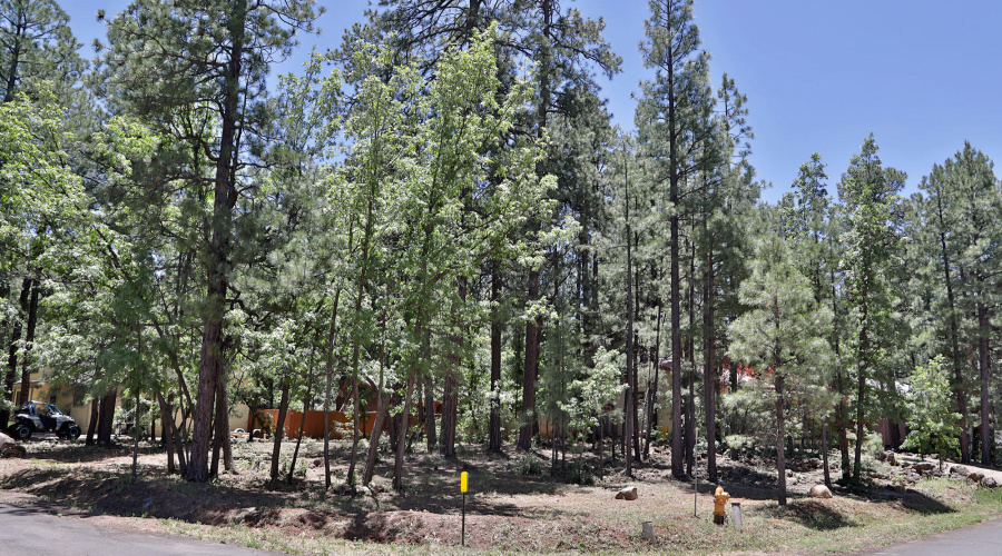 6001 Pitch Fork Lane, Pinetop AZ  85935