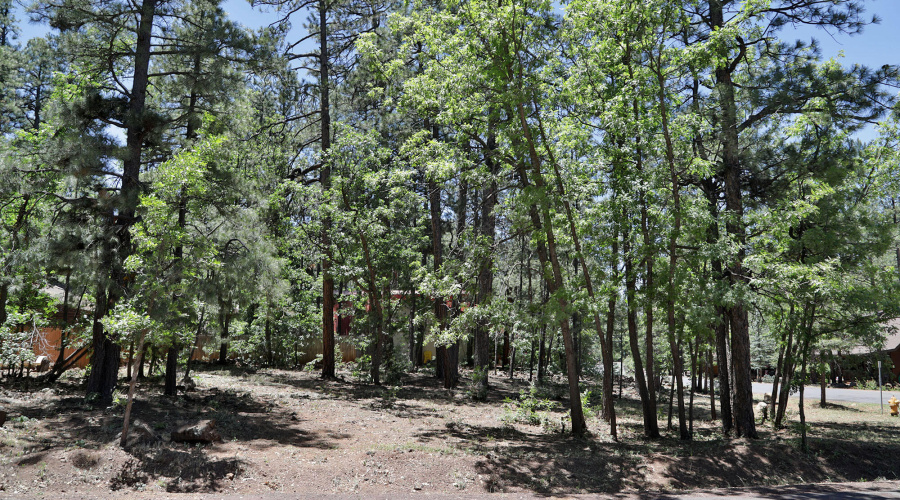 6001 Pitch Fork Lane, Pinetop AZ  85935