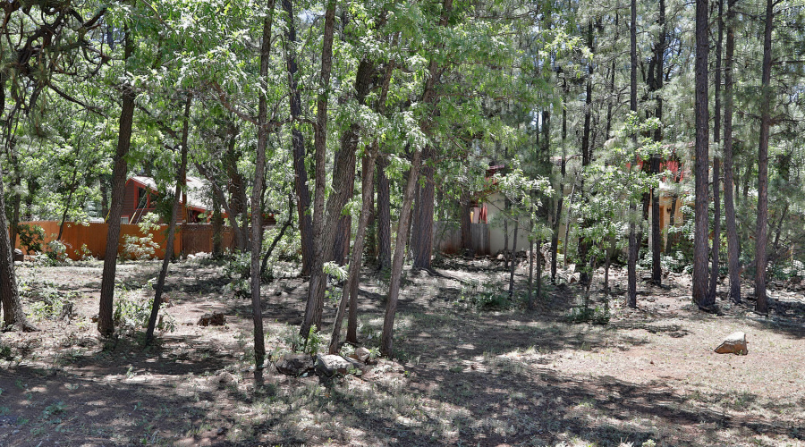 6001 Pitch Fork Lane, Pinetop AZ  85935