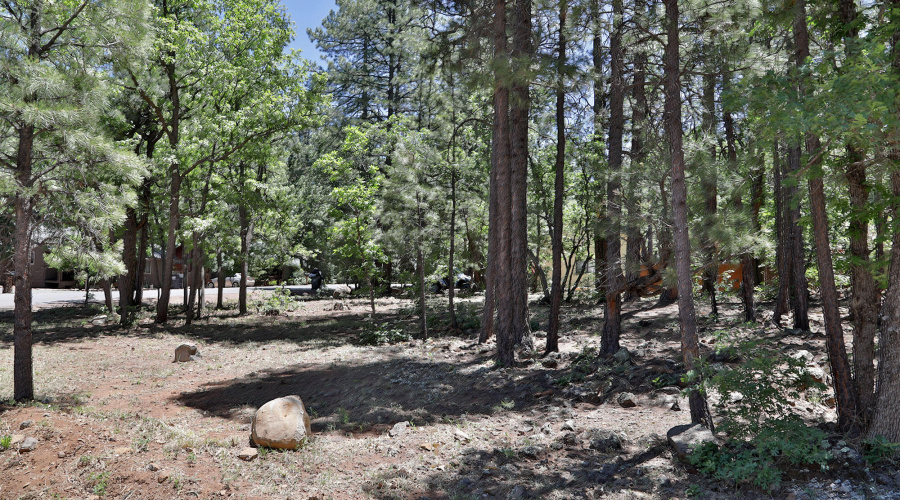 6001 Pitch Fork Lane, Pinetop AZ  85935