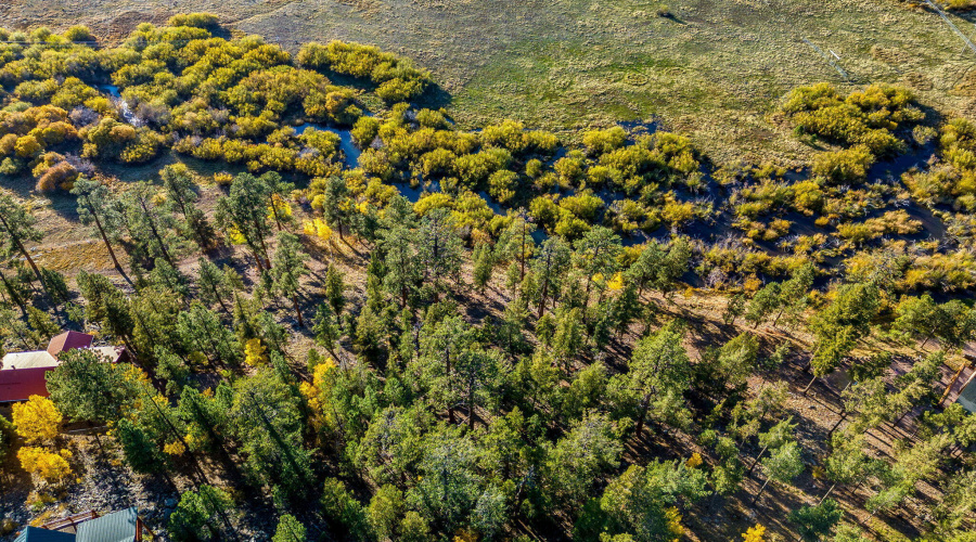 Parcel-102-07-004H-Greer-AZ-8