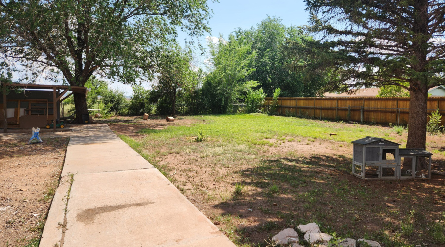 Back Yard w/walkway