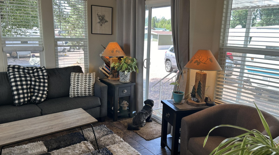 Living Area with lots of Natural Light