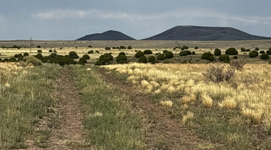 Dirt Road