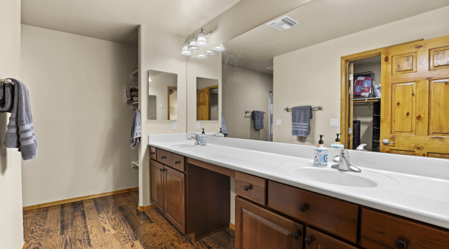 Downstairs Master Bath