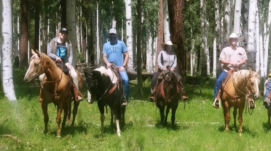 Horseback riding