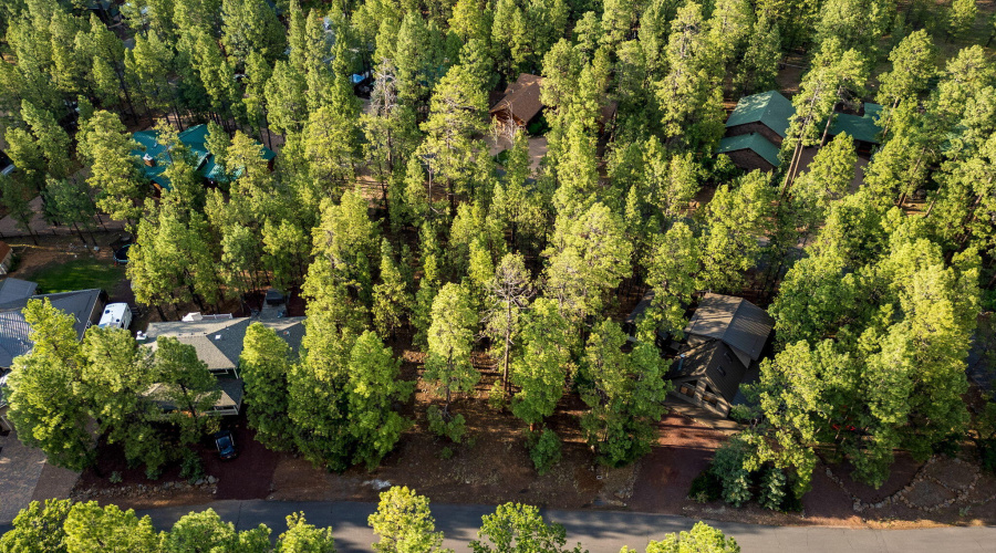 6938PalominoDr-Pinetop-AZ-12