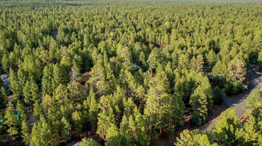 6938PalominoDr-Pinetop-AZ-13