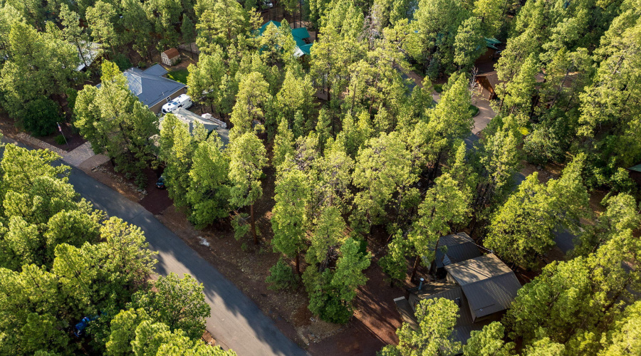 6938PalominoDr-Pinetop-AZ-14