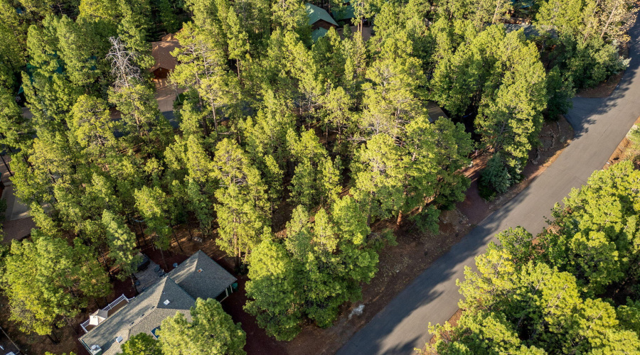 6938PalominoDr-Pinetop-AZ-15