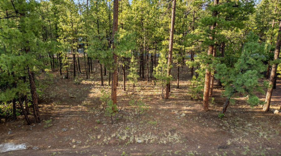 6938PalominoDr-Pinetop-AZ-1